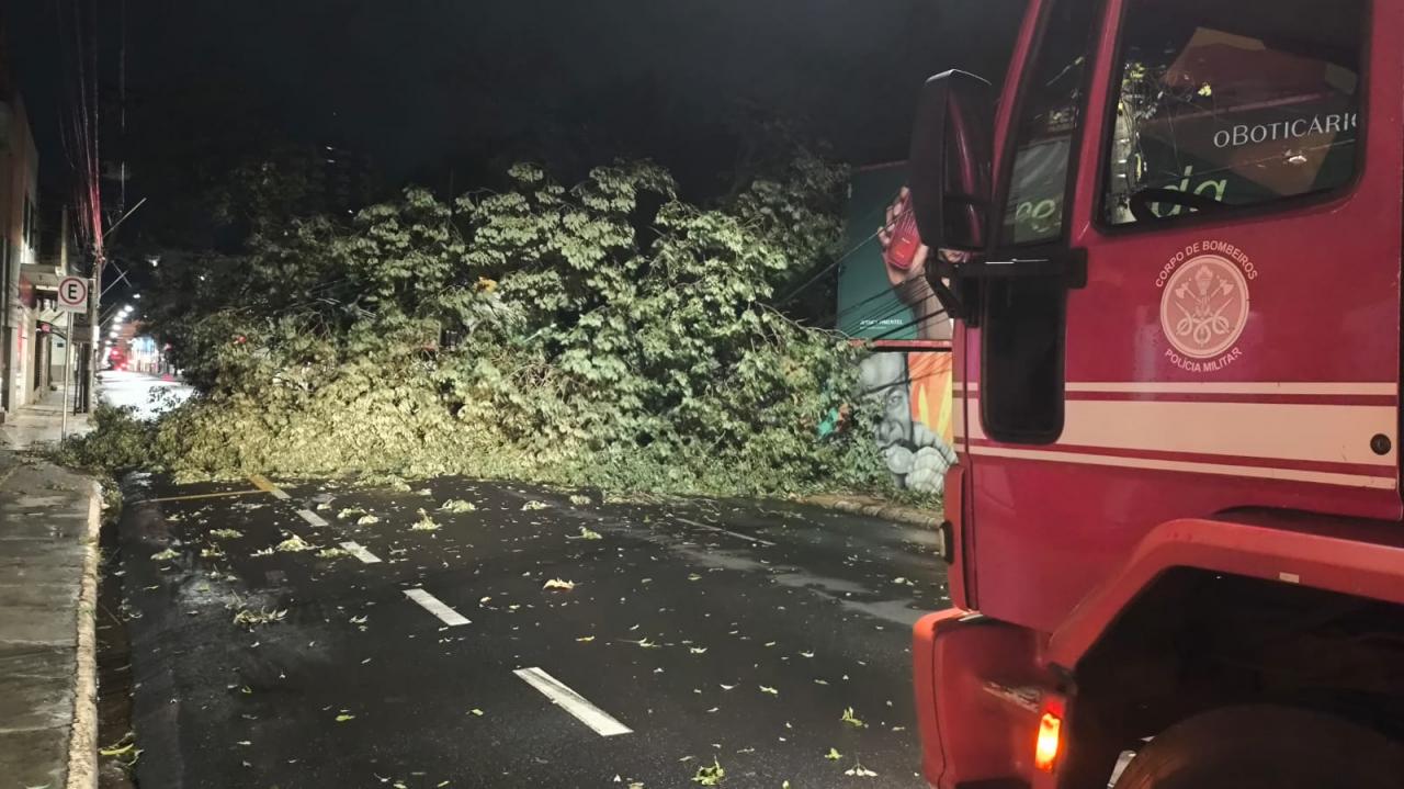 Foto 33 de 67 — TEMPORAL EM FOTOS: veja imagens de destruição em Araraquara